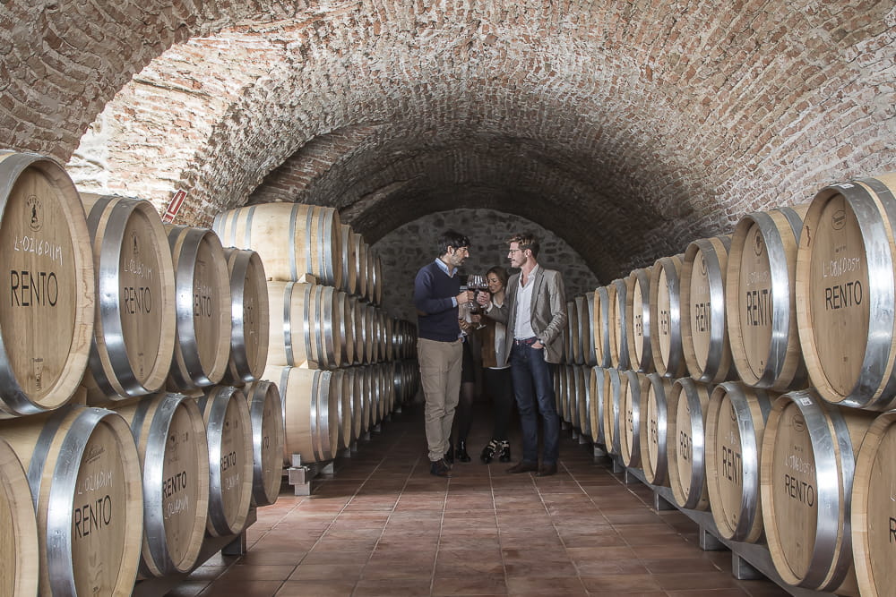 Bodegas Familiares Matarromera suggests wine tourism at Easter in Ribera del Duero and Rueda