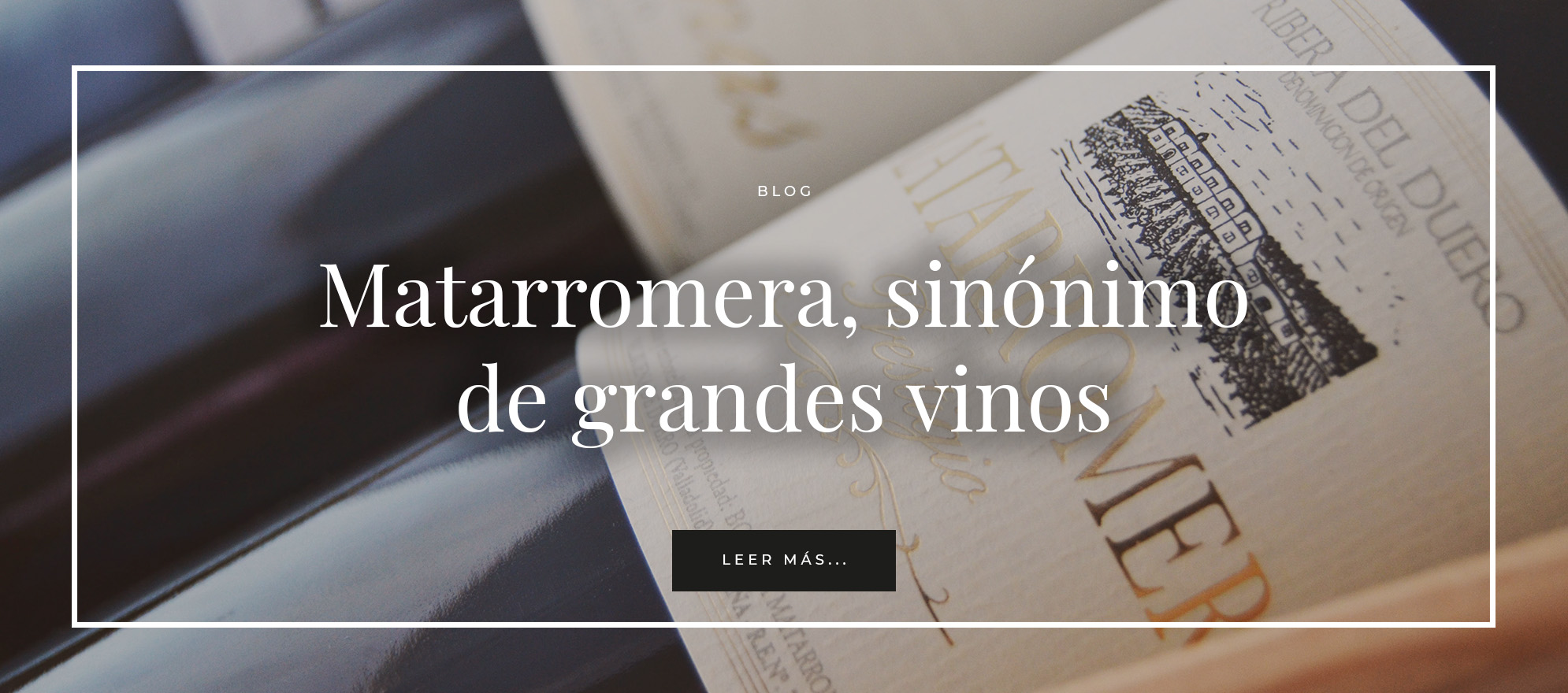 Matarromera, sinonimo de grandes vinos