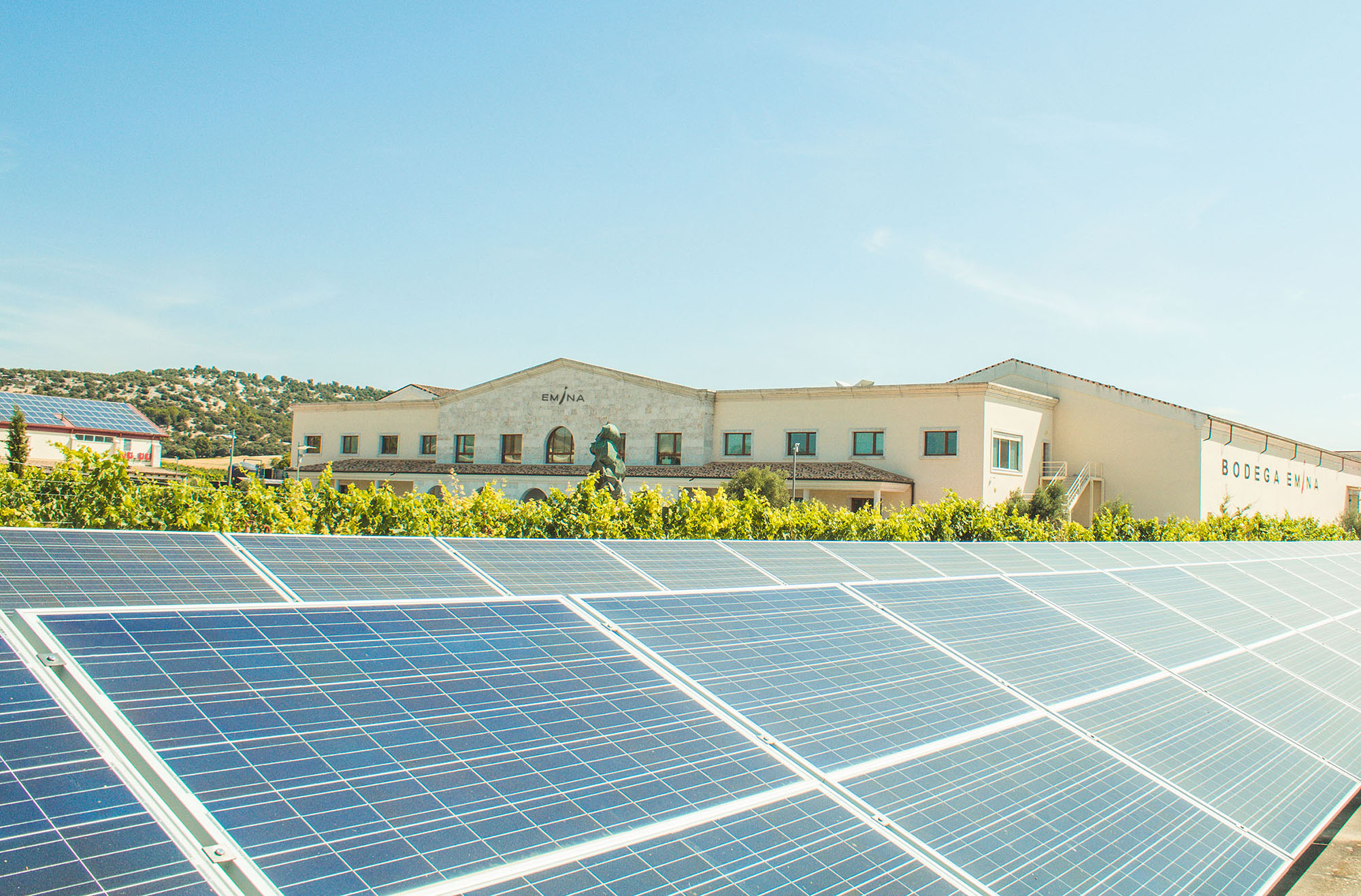Las energías renovables y la Responsabilidad Social de Bodegas Familiares Matarromera