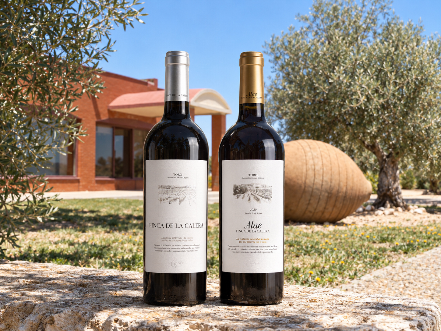 Matarromera renueva sus vinos de alta gama en la D.O. Toro: Alae y Finca de La Calera